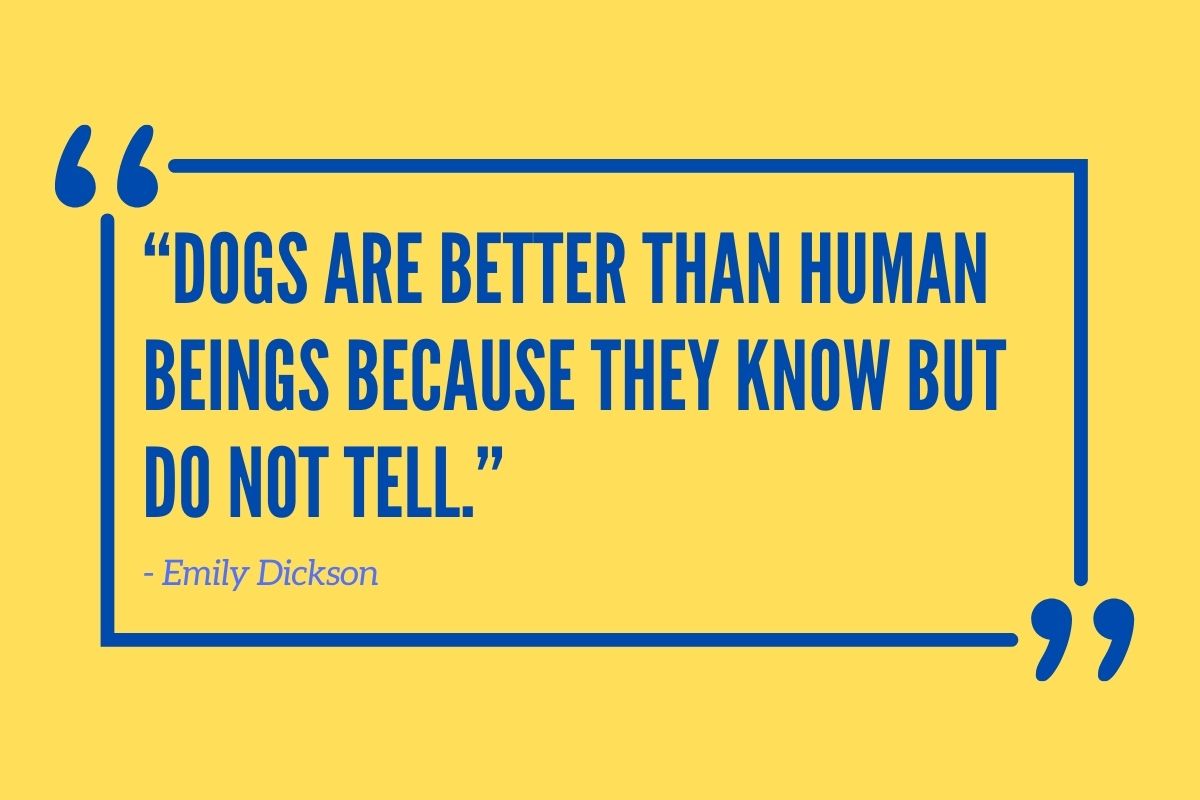Dogs are better than human beings because they know but do not tell