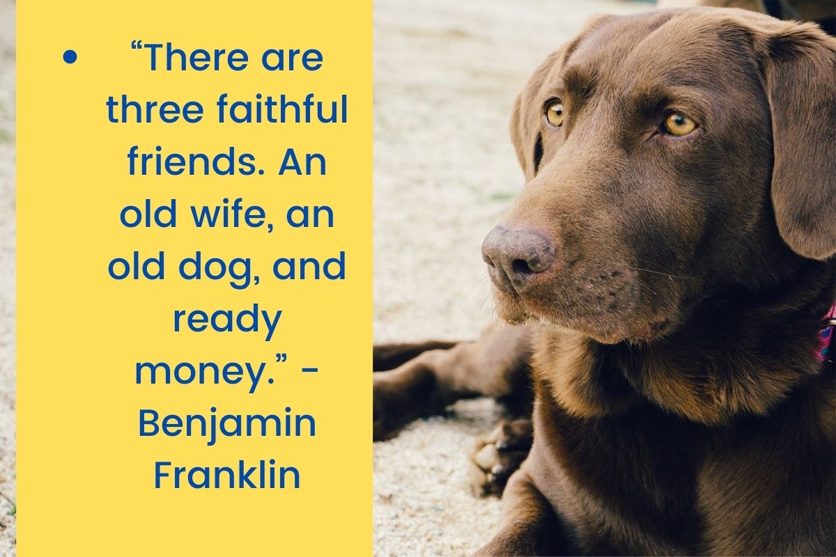 There are three faithful friends. An old wife, an old dog, and ready money