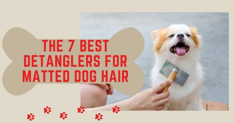 best detanglers for matted dog hair