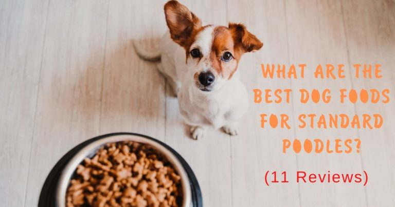 best dog foods for standard poodles