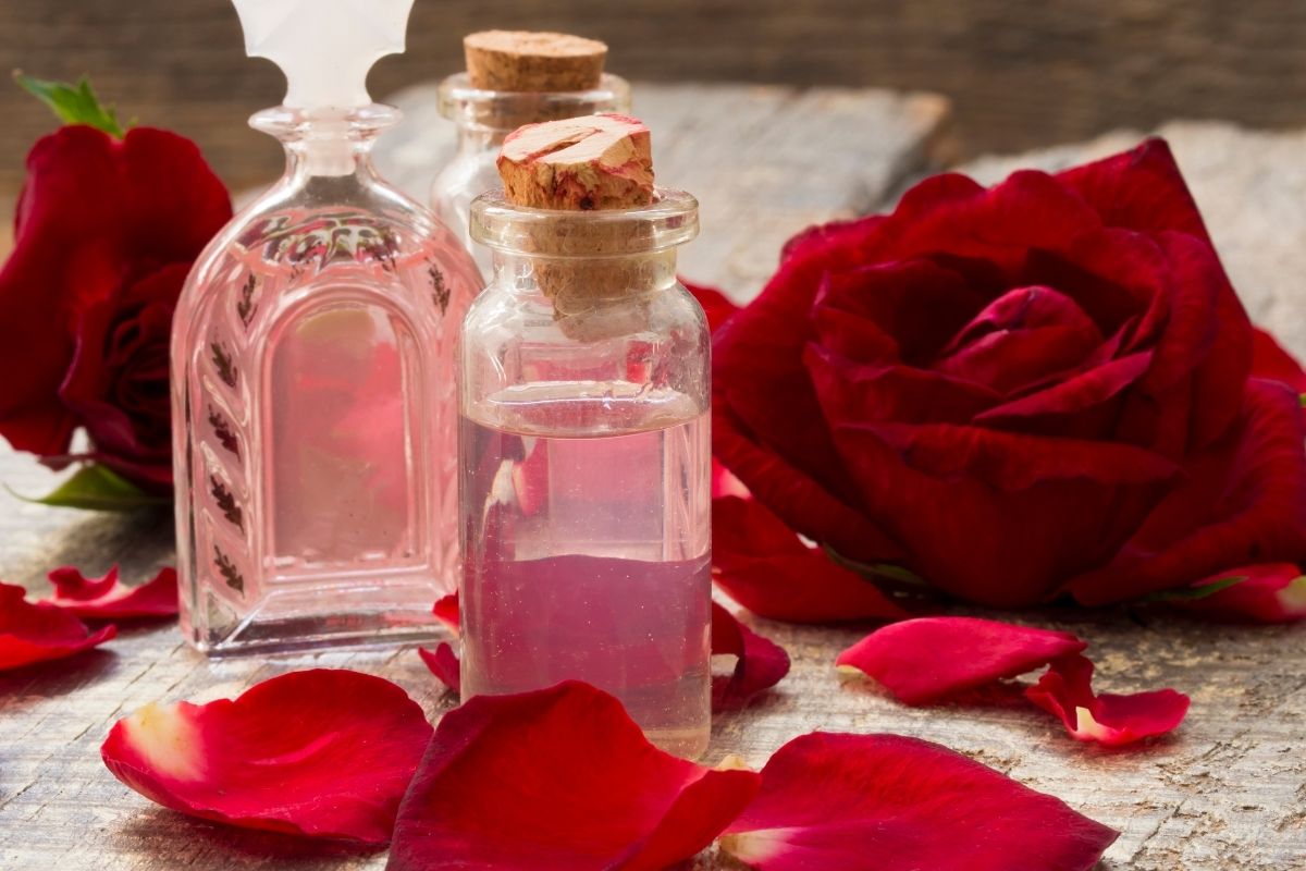 perfume of rose